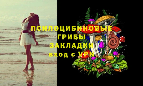 СК Аркадак
