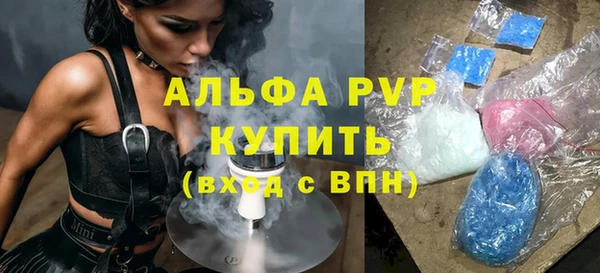 сатива Баксан
