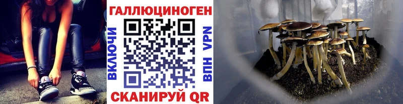 Галлюциногенные грибы Magic Shrooms Боровск